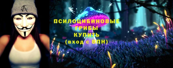 тгк Гусь-Хрустальный