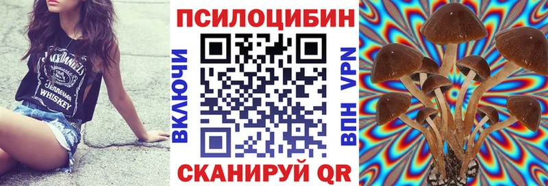 Купить где  Полярный  Псилоцибиновые грибы Magic Shrooms 