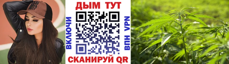 Бошки Шишки Bruce Banner Полярный